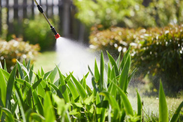 24/7 Emergency Wasp Removal experts in Southern Gateway, VA