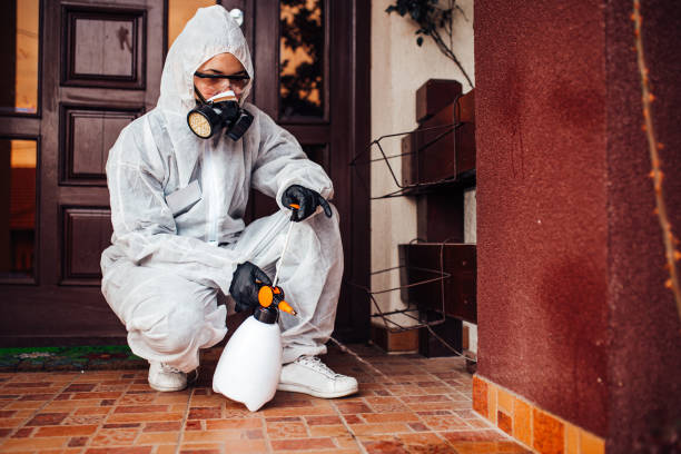 Reliable Wasp Removal contractor in Southern Gateway, VA by Show Me Pest Control